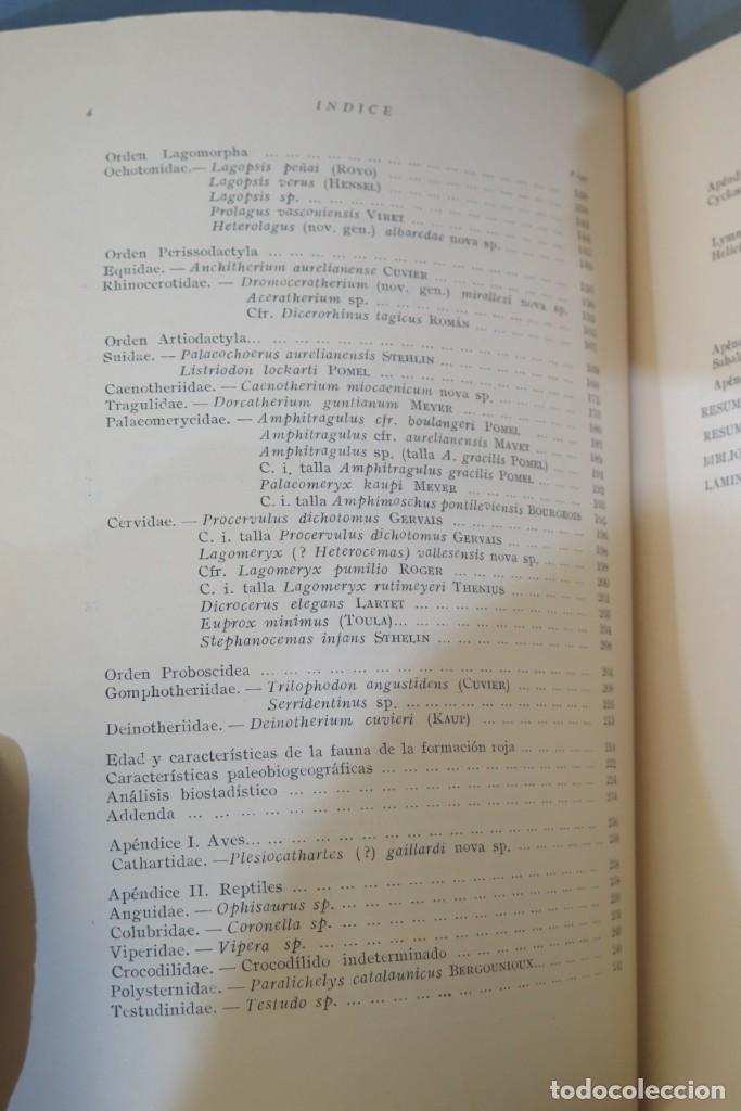 Libros de segunda mano: EL BURDIGALIENSE CONTINENTAL DE LA CUENCA DEL VALLES-PENEDES - Foto 5