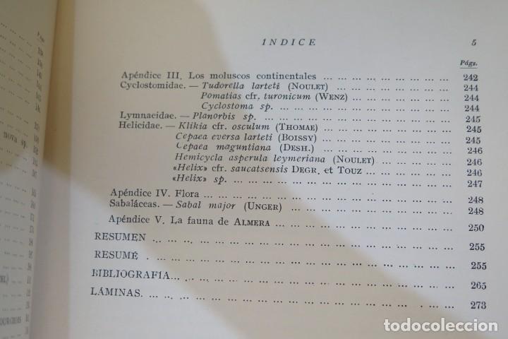 Libros de segunda mano: EL BURDIGALIENSE CONTINENTAL DE LA CUENCA DEL VALLES-PENEDES - Foto 6