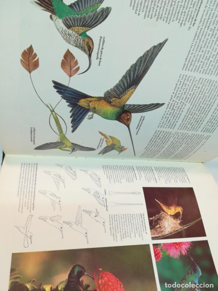 Libros de segunda mano: VV.AA Selvas, las &uacute;ltimas reservas de vida SA4640 - Foto 2