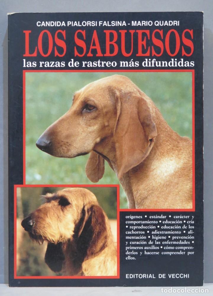 Second hand books: LOS SABUESOS. LAS RAZAS DE RASTREO MAS DIFUNDIDAS. FALSINA. QUADRI
