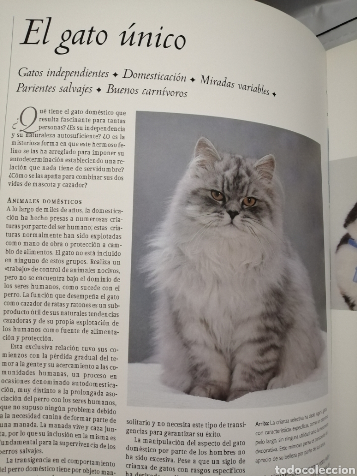 Libros de segunda mano: GU&Iacute;A COMPLETA DE GATOS - Foto 3