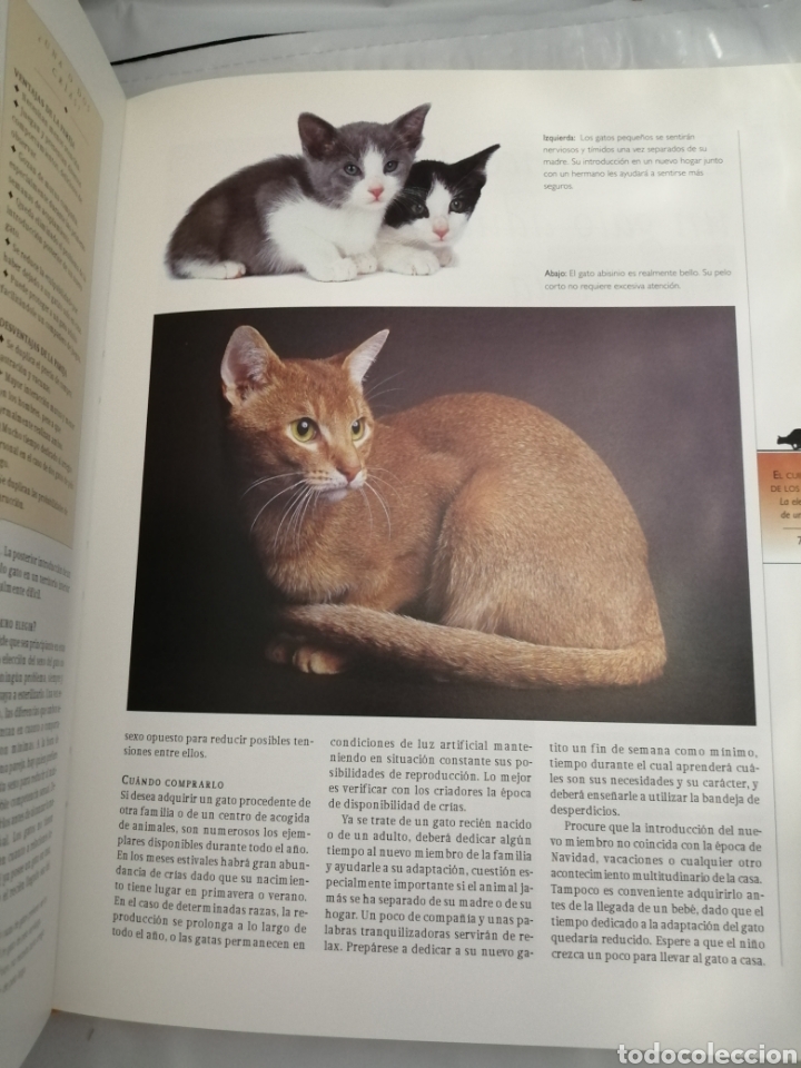 Libros de segunda mano: GU&Iacute;A COMPLETA DE GATOS - Foto 6