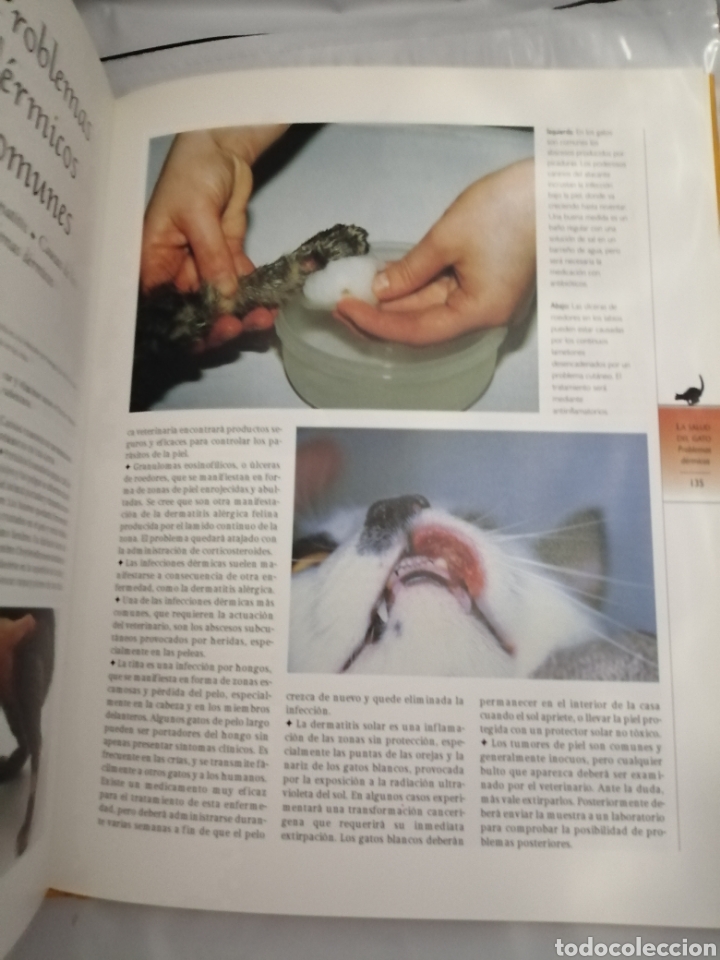 Libros de segunda mano: GU&Iacute;A COMPLETA DE GATOS - Foto 7