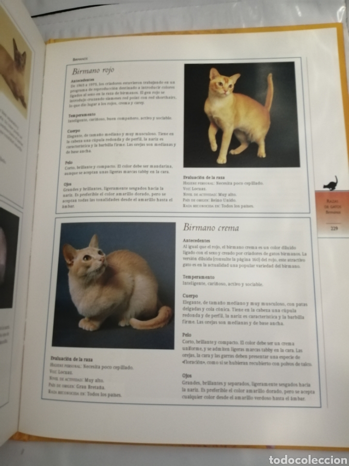 Libros de segunda mano: GU&Iacute;A COMPLETA DE GATOS - Foto 9