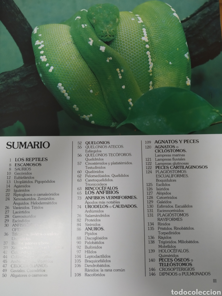 Libros de segunda mano: Historia Natural. - Foto 2