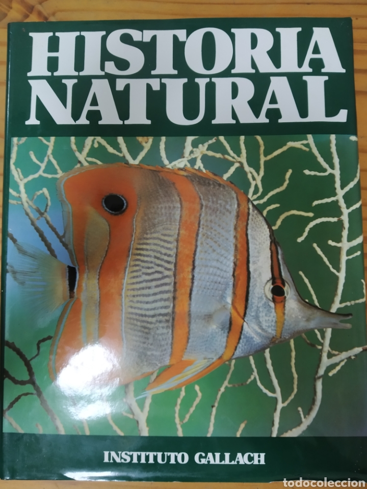 Libros de segunda mano: Historia Natural. - Foto 1