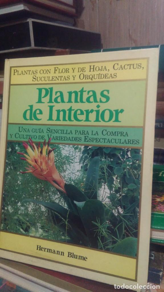 Libros de segunda mano: PLANTAS DE INTERIOR, HERMANN BLUME - Foto 1