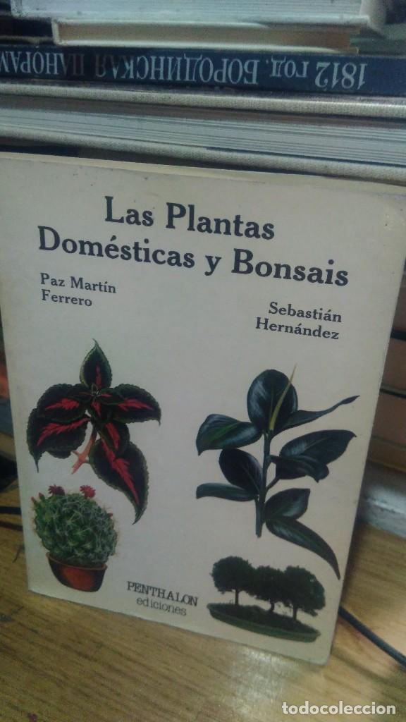 Libros de segunda mano: ARBUSTOS ORNAMENTALES, ED. SUSAETA - Foto 1