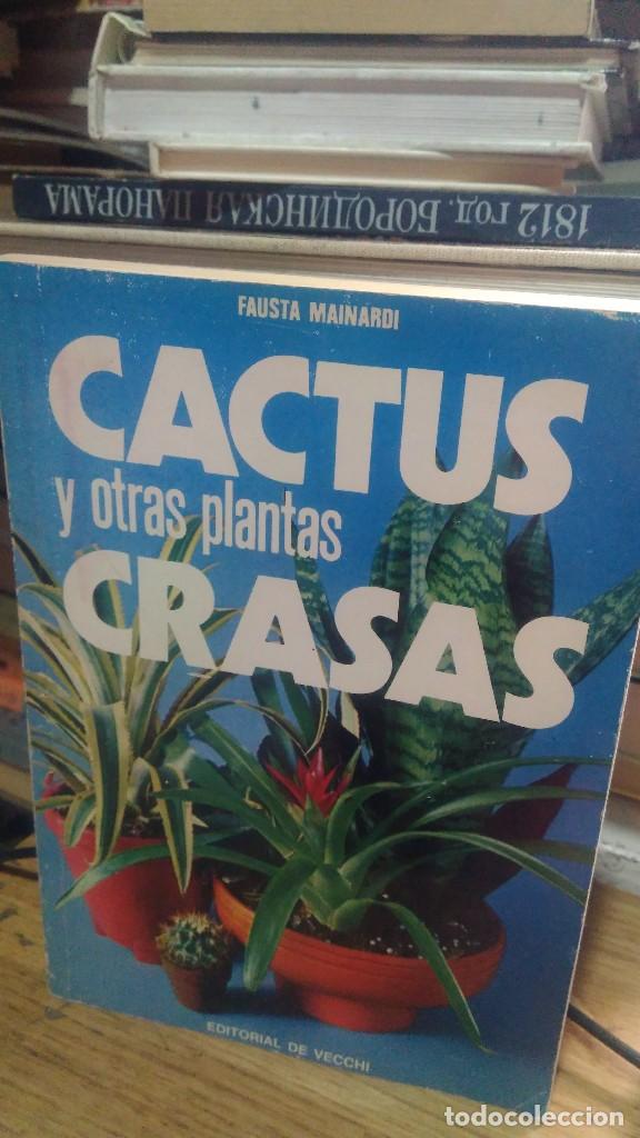 Libros de segunda mano: CACTUS Y OTRAS PLANTAS CRASAS, FAUSTA MAINARDI, ED. VECCHI - Foto 1
