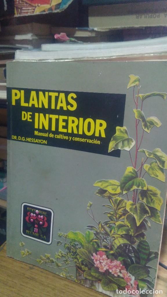 Libros de segunda mano: PLANTAS DE INTERIOR, DR. D.G. HESSAYON, ED. BLUME S.A. - Foto 1