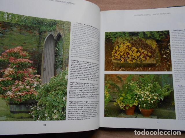 Libros de segunda mano: MACETAS Y JARDINERAS DAVID JOYCE - Foto 3
