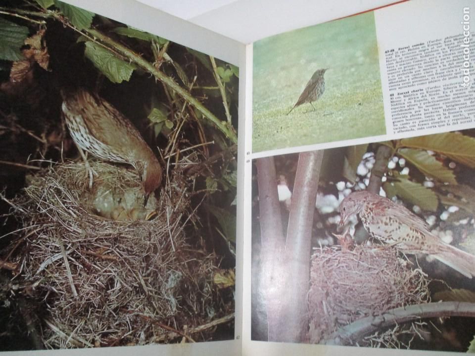 Libros de segunda mano: ARMANDO GRASSELLI P&aacute;jaros cantores W8202 - Foto 3