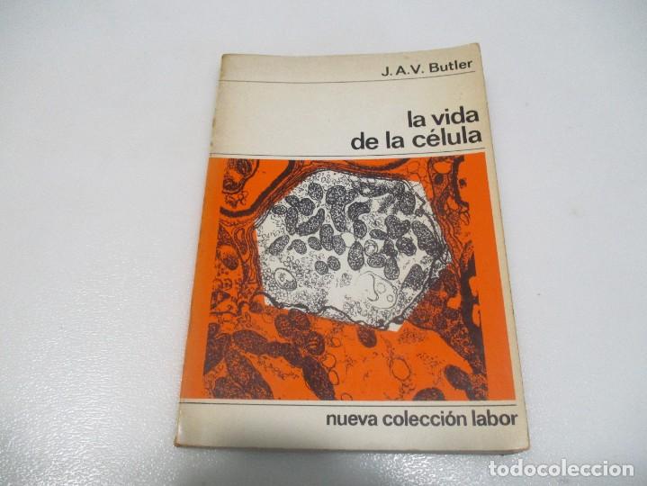 Libros de segunda mano: J.A.V. BUTLER La vida de la c&eacute;lula W8216 - Foto 1