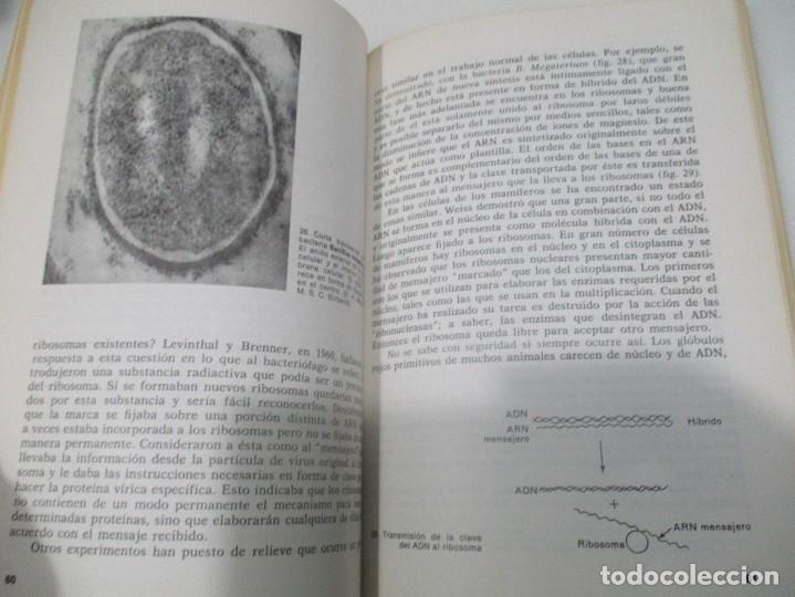 Libros de segunda mano: J.A.V. BUTLER La vida de la c&eacute;lula W8216 - Foto 3