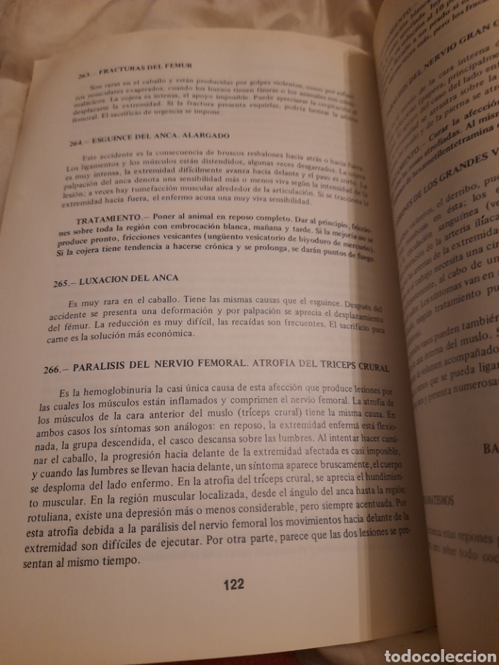 Libros de segunda mano: Enfermedades del Caballo - Foto 3