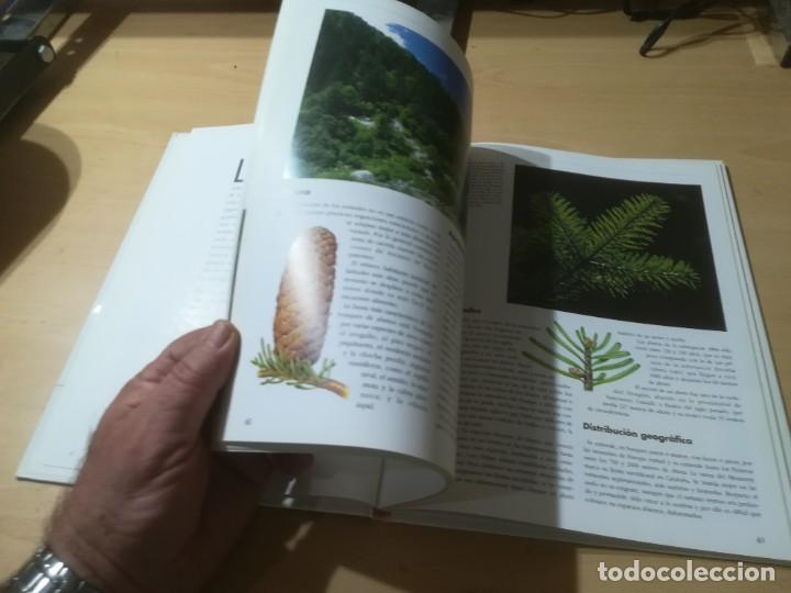 Libros de segunda mano: NUESTROS ARBOLES / SKIP - BALAY / RITA TRIAY - PLANETA / AI39 - Foto 10