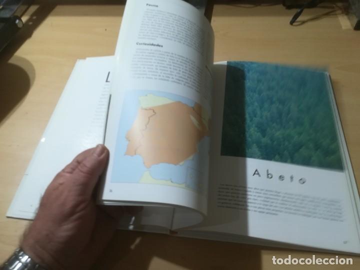 Libros de segunda mano: NUESTROS ARBOLES / SKIP - BALAY / RITA TRIAY - PLANETA / AI39 - Foto 11