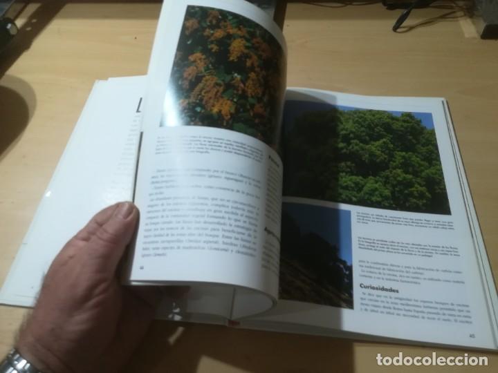 Libros de segunda mano: NUESTROS ARBOLES / SKIP - BALAY / RITA TRIAY - PLANETA / AI39 - Foto 12