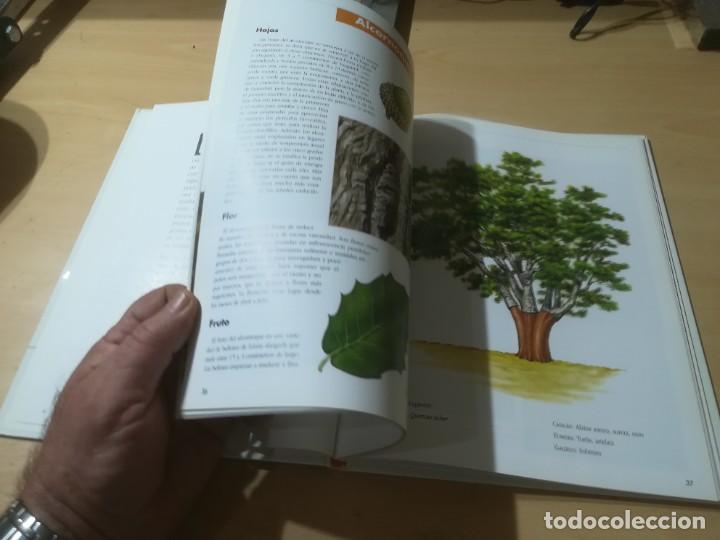 Libros de segunda mano: NUESTROS ARBOLES / SKIP - BALAY / RITA TRIAY - PLANETA / AI39 - Foto 13