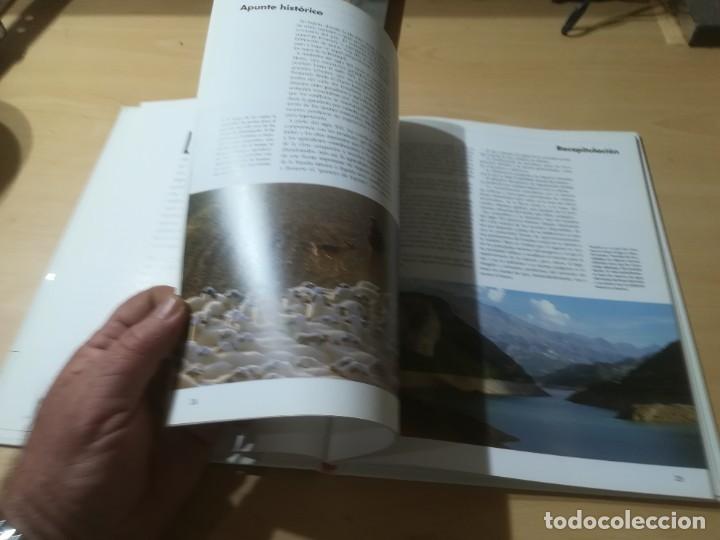 Libros de segunda mano: NUESTROS ARBOLES / SKIP - BALAY / RITA TRIAY - PLANETA / AI39 - Foto 14