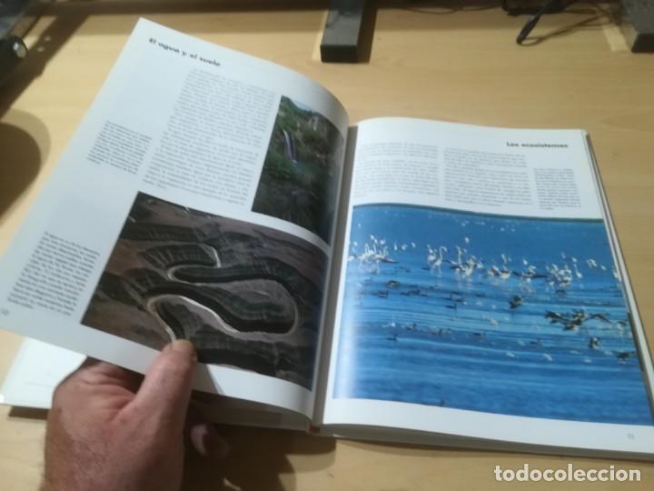 Libros de segunda mano: NUESTROS ARBOLES / SKIP - BALAY / RITA TRIAY - PLANETA / AI39 - Foto 15