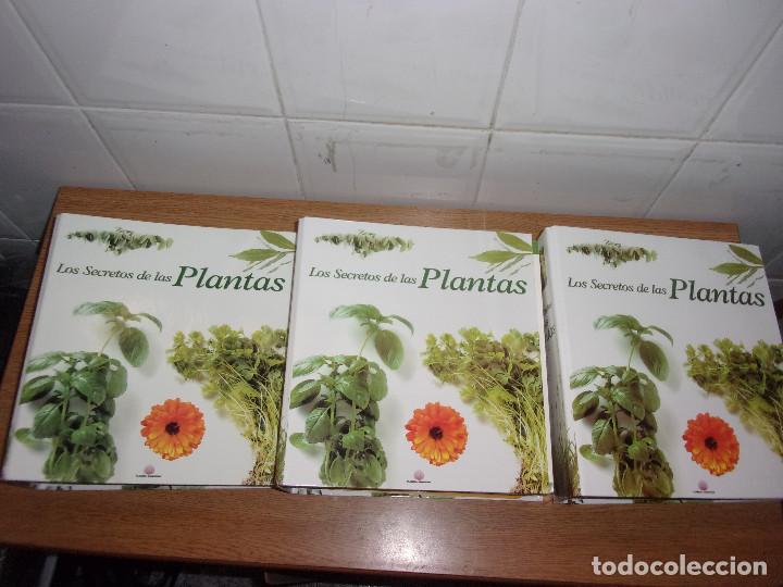 Libros de segunda mano: LOS SECRETOS DE LAS PLANTAS 3 TOMOS. - Foto 2