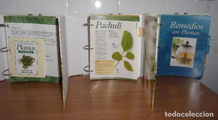 Libros de segunda mano: LOS SECRETOS DE LAS PLANTAS 3 TOMOS. - Foto 3