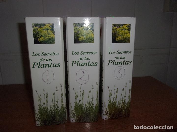 Libros de segunda mano: LOS SECRETOS DE LAS PLANTAS 3 TOMOS. - Foto 1
