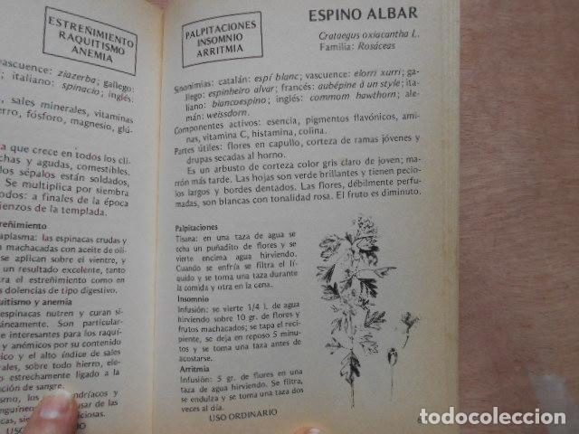 Libros de segunda mano: HIERBAS QUE CURAN EDMUD CHESSI - Foto 2