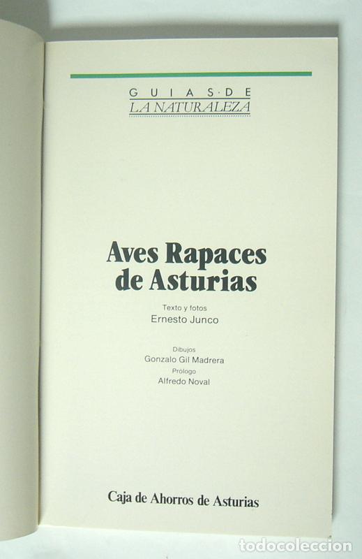 Libros de segunda mano: AVES RAPACES DE ASTURIAS - ERNESTO JUNCO - Foto 2