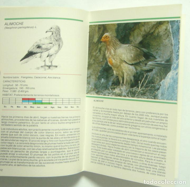 Libros de segunda mano: AVES RAPACES DE ASTURIAS - ERNESTO JUNCO - Foto 3