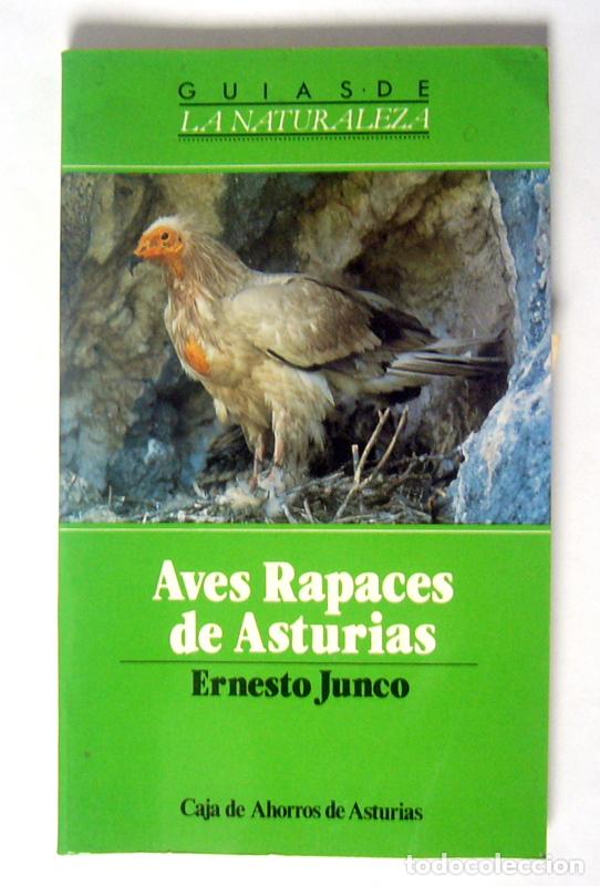 Libros de segunda mano: AVES RAPACES DE ASTURIAS - ERNESTO JUNCO - Foto 1