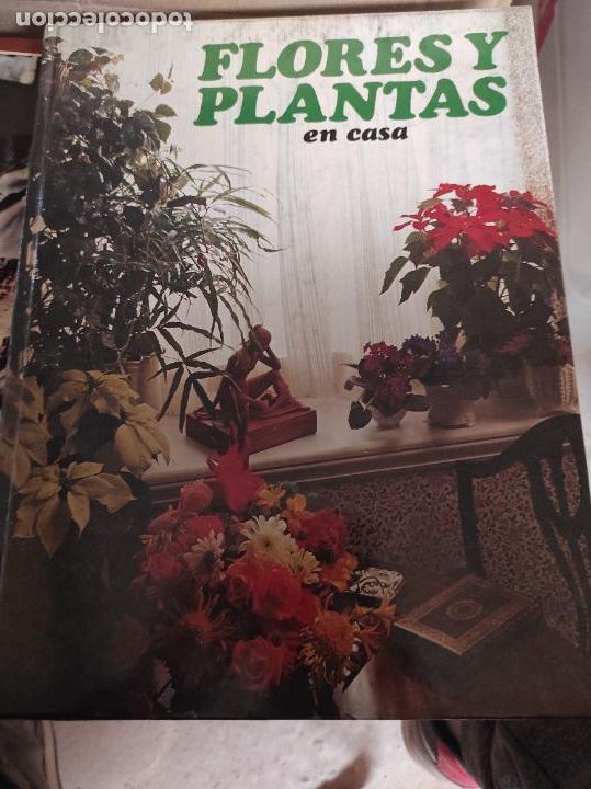 Libros de segunda mano: FLORES Y PLANTAS EN CASA - Foto 1