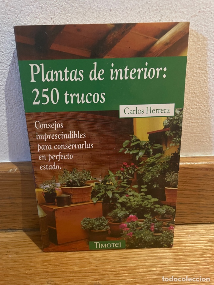 Libros de segunda mano: Plantas de interior: 250 trucos Carlos Herrera - Foto 1