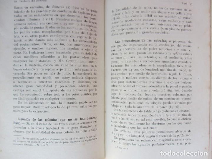 Libros de segunda mano: CUIDADOS DEL COLMENAR. E. BERTRAND. ED.GUSTAVO GILI. 3&ordf;EDICI&Oacute;N. - Foto 3