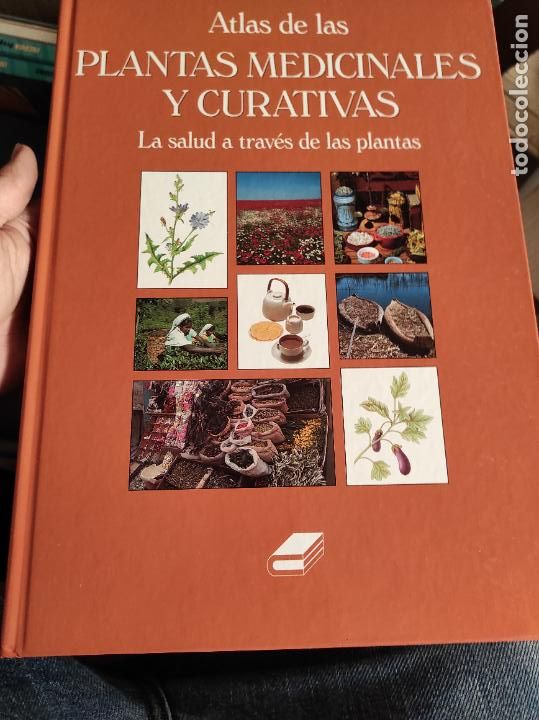 Libros de segunda mano: Atlas de las plantas medicinales y curativas - Ramon Fores - Foto 1