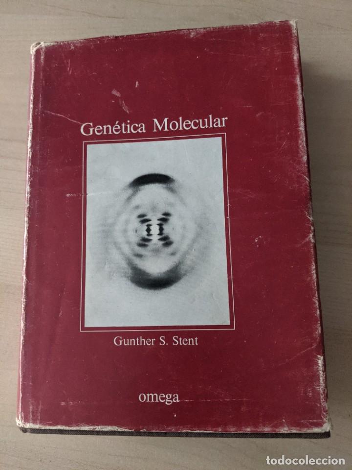 Libros de segunda mano: GEN&Eacute;TICA MOLECULAR, G&Uuml;NTHER S. STENT, OMEGA - Foto 1