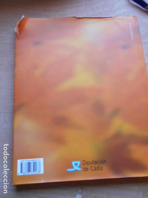 Libros de segunda mano: DE PLUMAS CANTOS Y VUELOS DIPUTACI&Oacute;N DE C&Aacute;DIZ - Foto 2