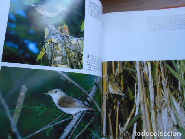 Libros de segunda mano: DE PLUMAS CANTOS Y VUELOS DIPUTACI&Oacute;N DE C&Aacute;DIZ - Foto 3