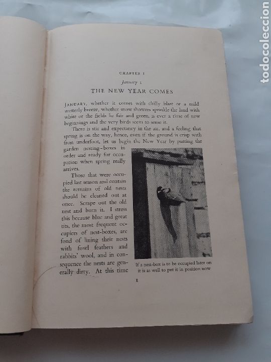 Libros de segunda mano: Nature through the year, Frances Pitt, ingl&eacute;s, sin fecha - Foto 4