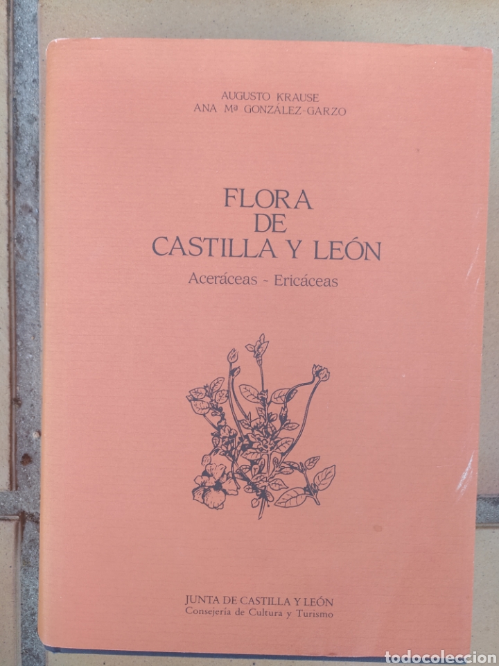 Libri di seconda mano: Flora de castilla y leon&nbsp;ACERACEAS - ERICACEAS&nbsp; Krause, Auguste y Gonzalez Ana M.