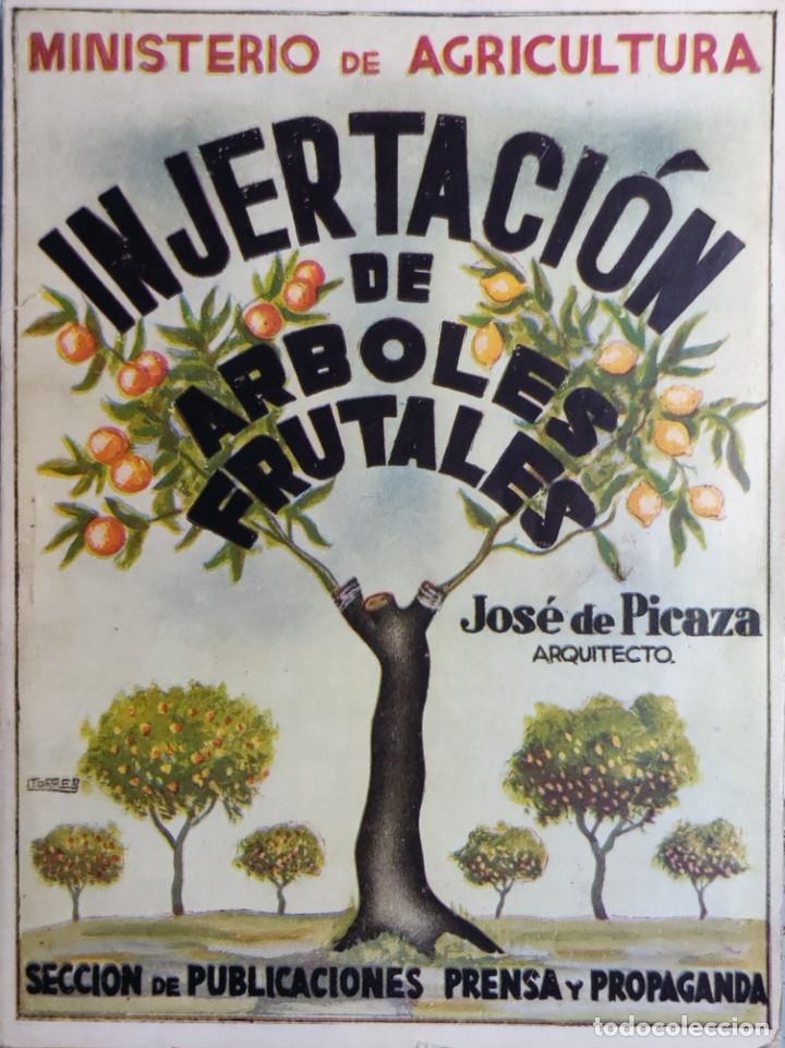 injertación de árboles frutales / por josé de p - Compra venta en  todocoleccion