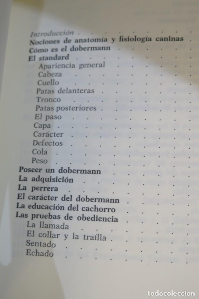 Libros de segunda mano: EL DOBERMAN. FIORENZO FIORONE - Foto 2