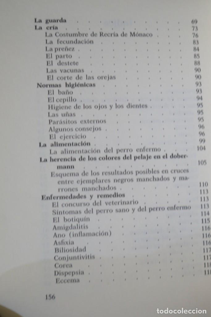 Libros de segunda mano: EL DOBERMAN. FIORENZO FIORONE - Foto 3