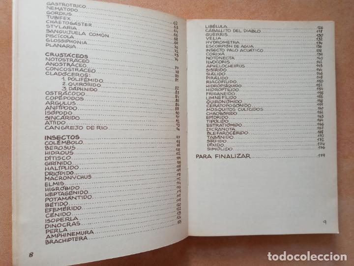 Libros de segunda mano: Los invertebrados de agua dulce- ediciones penthalon 1983 - Foto 4