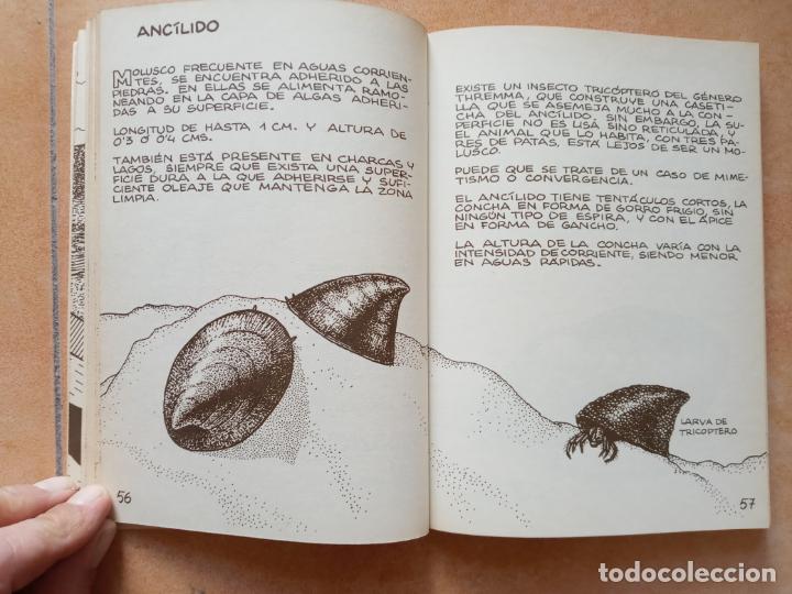 Libros de segunda mano: Los invertebrados de agua dulce- ediciones penthalon 1983 - Foto 5
