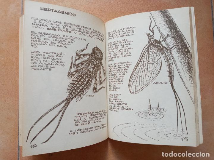 Libros de segunda mano: Los invertebrados de agua dulce- ediciones penthalon 1983 - Foto 6