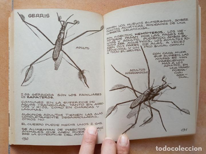 Libros de segunda mano: Los invertebrados de agua dulce- ediciones penthalon 1983 - Foto 7