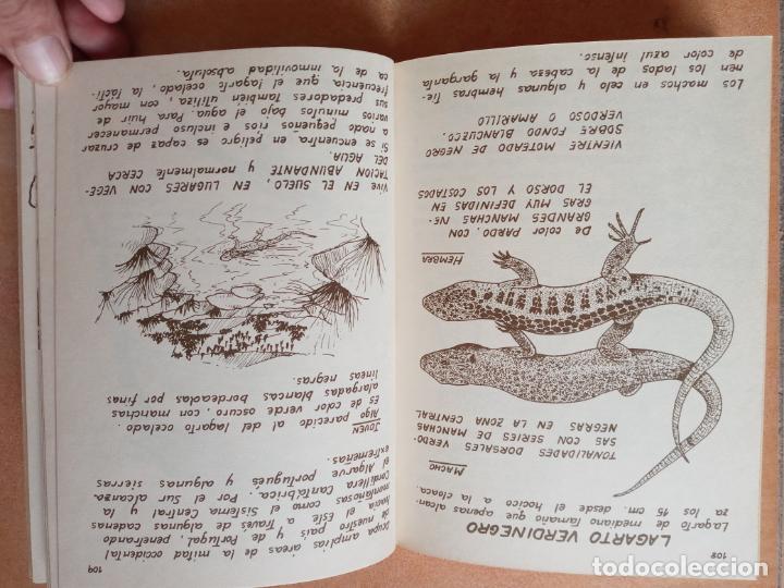 Libros de segunda mano: Los anfibios y reptiles- ediciones Penthalon 1981 - Foto 4