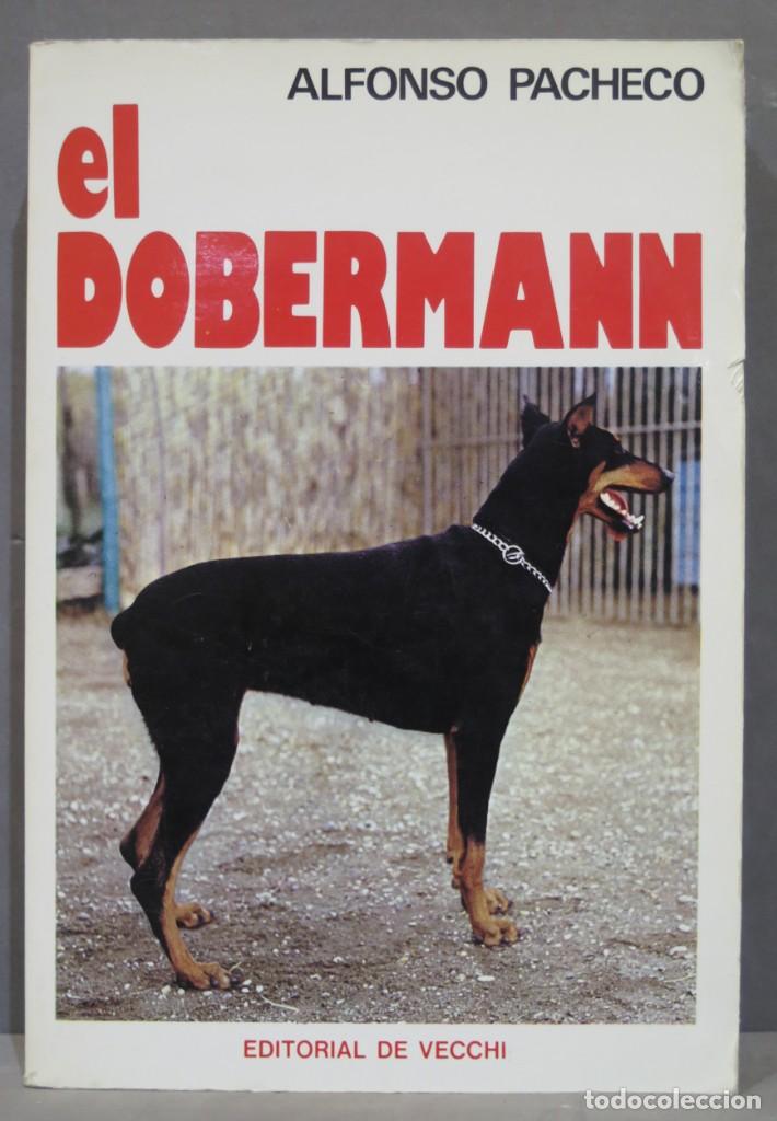 Libros de segunda mano: EL DOBERMANN. ALFONSO PACHECO - Foto 1